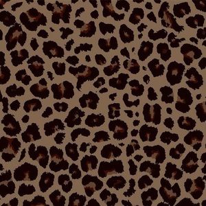 Meet your Posher, Mia